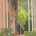 shutters and windows.