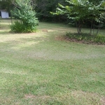 Lawn care by Rosie Lees Services