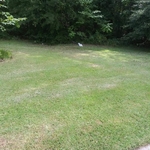 Lawn care