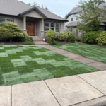 Sod install