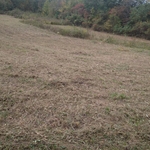 Bush hogging