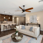 Living Room and Kitchen