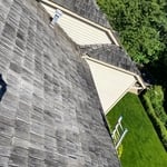 Before ( shake shingles being cleaned)