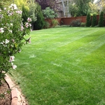 Love to Mow!
