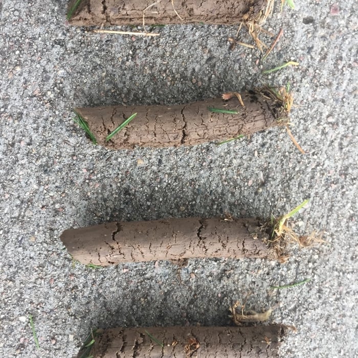 Plugs are 3-4 inches deep!!