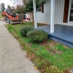 In progress landscaping p