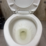Bathroom Cleaning!