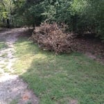 Finding the crepe myrtle