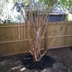 After clean-up