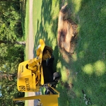 no ground disturbance