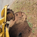 stump completed