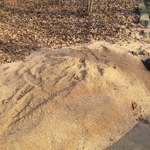 Big Stump Grind