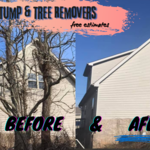 Tree Guys