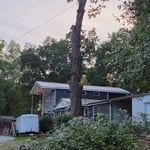 Tree Guys