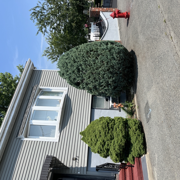 2 hedge cuts total