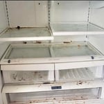 Fridge Before Picture