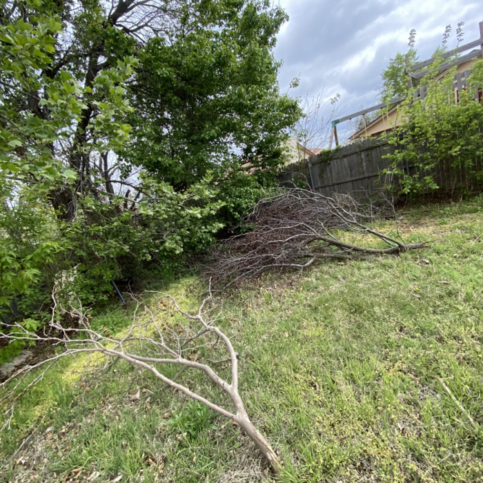 Land clean-up