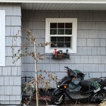 OLD WINDOWS REPLACED