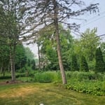 yard clean ups