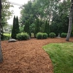 yard clean ups