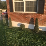 Stucco