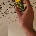 Moisture and Mold
