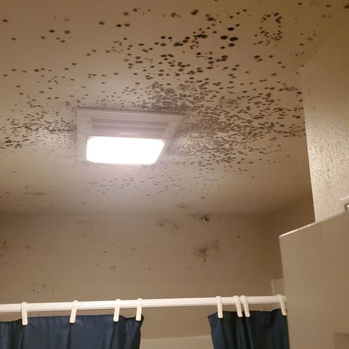 Bathroom Mold