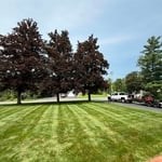 Mowing & Trimming