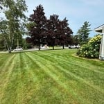 Mowing & Trimming