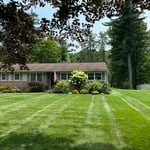 Mowing & Trimming