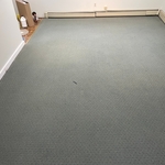 Our Work
