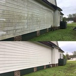 Large Algae Growth