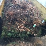 Trailer full of brush