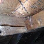 Damaged roof rafter