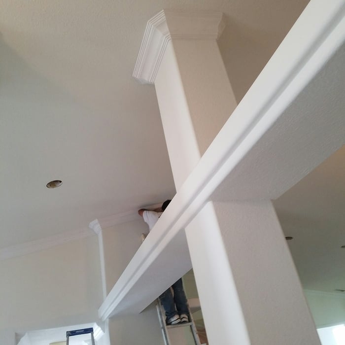 whole interior painting
