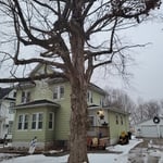 London Mills Tree Removal
