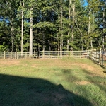 Back fence