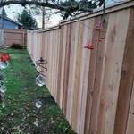 Fences
