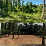 Land Clearing