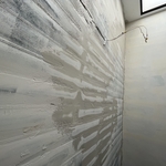 Ceiling Before