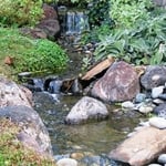 Water Features