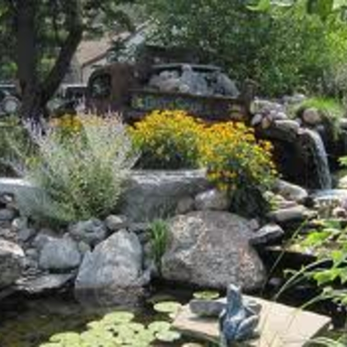 Pond and water fall