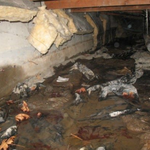 Does Your Crawlspace Look Like This?