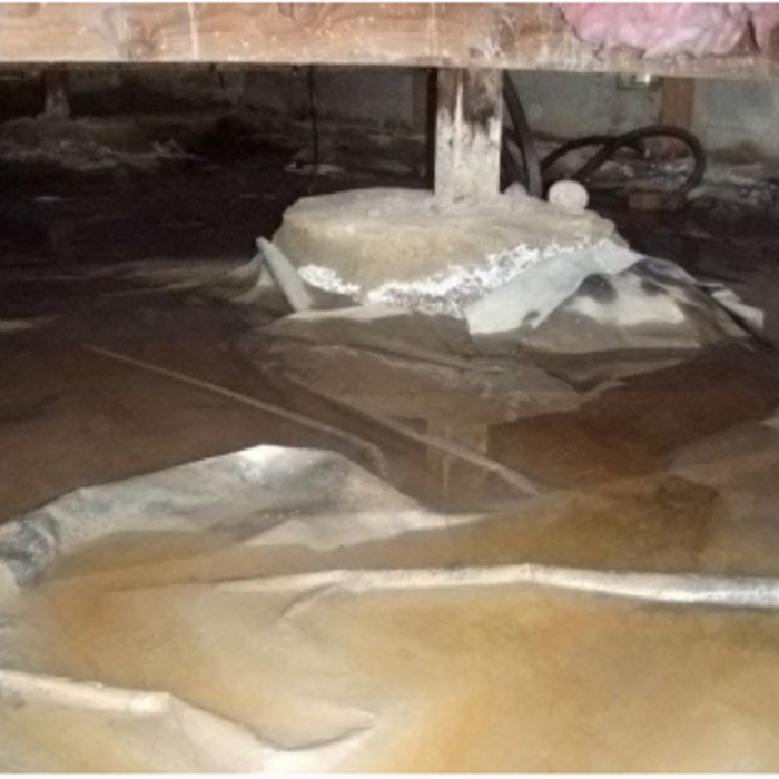Without Tiger Signature Drainage Matting