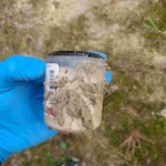Annual Termite Treatment