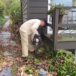 Annual Termite Treatment