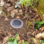 Annual Termite Treatment