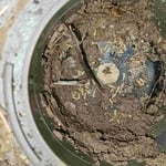 Annual Termite Treatment