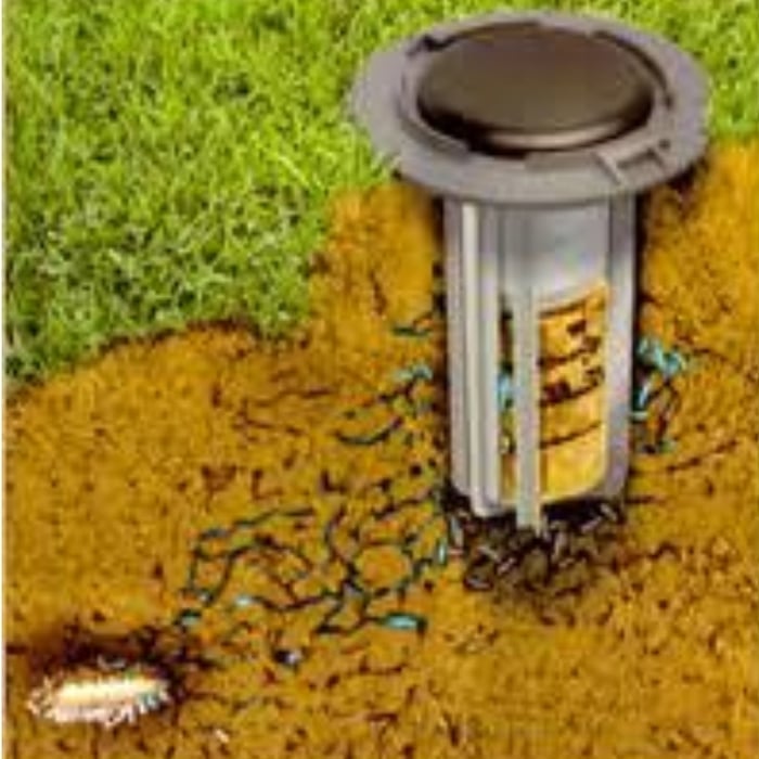 Annual Termite Treatment