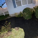 Restoration of flower beds